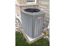 image description not provided by submitter