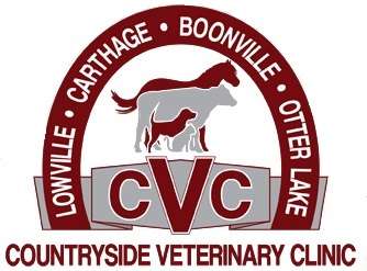 Countryside 2024 vet services