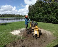 image description not provided by submitter