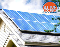 image description not provided by submitter