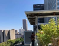 image description not provided by submitter