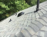 image description not provided by submitter