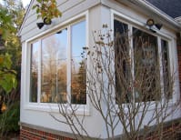 image description not provided by submitter