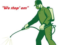 image description not provided by submitter