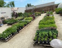 image description not provided by submitter