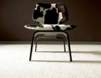 image description not provided by submitter