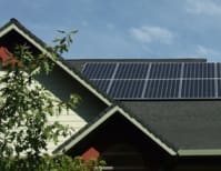 image description not provided by submitter