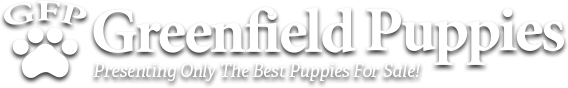 is greenfield puppies puppy mill