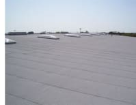 image description not provided by submitter