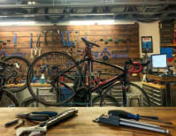 image description not provided by submitter