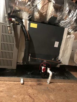 image description not provided by submitter