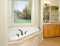 image description not provided by submitter