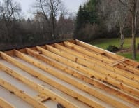 image description not provided by submitter