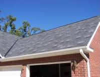 image description not provided by submitter