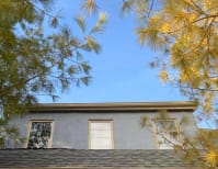 image description not provided by submitter