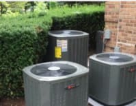 image description not provided by submitter