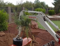 image description not provided by submitter