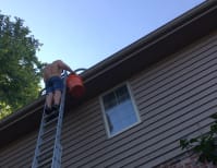 image description not provided by submitter