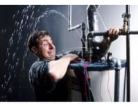 image description not provided by submitter