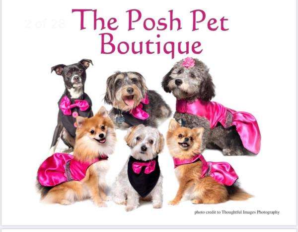 Posh Pet Glamour Boutique, Designer Dog Clothes & Luxury Dog Boutique