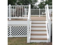 image description not provided by submitter