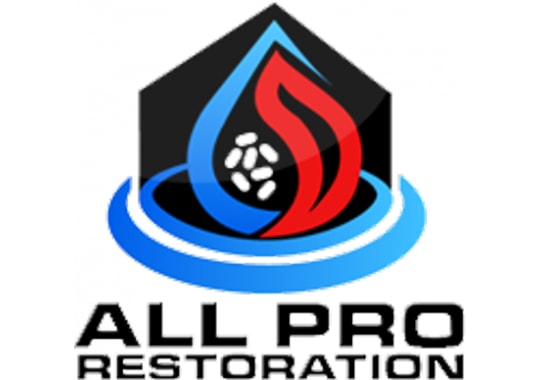 All Pro Restoration Services Inc. | BBB Business Profile | Better ...