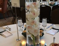 image description not provided by submitter