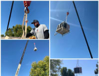 image description not provided by submitter