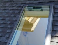 image description not provided by submitter