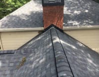 image description not provided by submitter