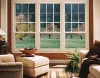 image description not provided by submitter