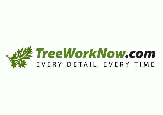 Tree Work Now LLC Better Business Bureau Profile