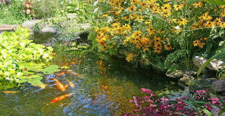 Is That Green Moss Killing My Trees? - Hyannis Country Garden