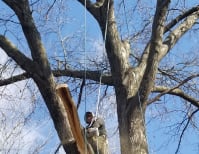 image description not provided by submitter