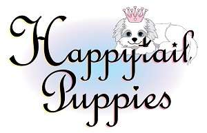 Happy tails hot sale puppy mill