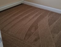 image description not provided by submitter