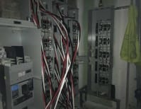 image description not provided by submitter