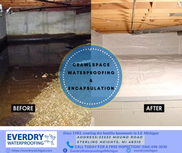 Everdry Waterproofing offers tips to help you spot potential water