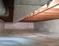 image description not provided by submitter