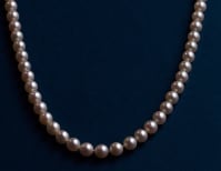 image description not provided by submitter