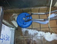 image description not provided by submitter