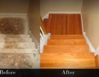 image description not provided by submitter