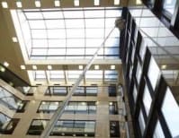 image description not provided by submitter