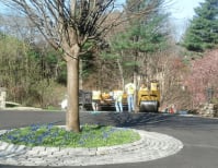 image description not provided by submitter