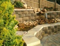 image description not provided by submitter