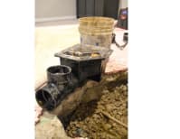 image description not provided by submitter