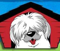 Shaggy Shack Pet Resort Spa Better Business Bureau Profile