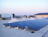 image description not provided by submitter