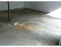 image description not provided by submitter