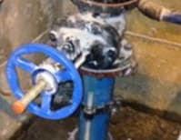 image description not provided by submitter